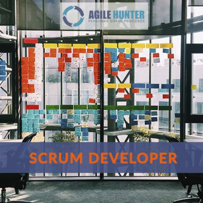 Scrum Developer